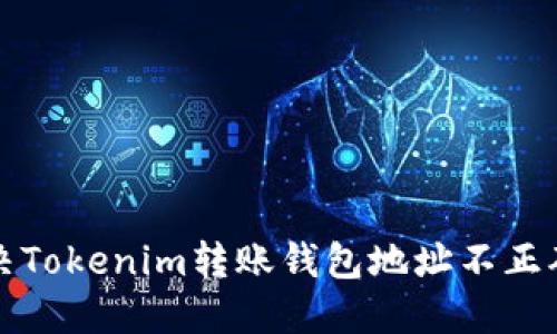 如何解决Tokenim转账钱包地址不正确的问题