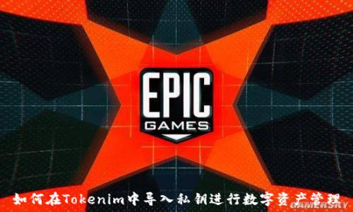 如何在Tokenim中导入私钥进行数字资产管理