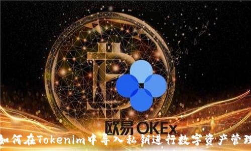 如何在Tokenim中导入私钥进行数字资产管理