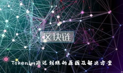 Tokenim延迟到账的原因及解决方案