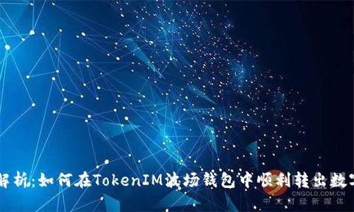 详细解析:如何在TokenIM波场钱包中顺利转出数字货币