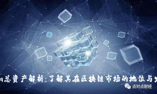 Tokenim总资产解析：了解其在区块链市场的地位与发展潜力