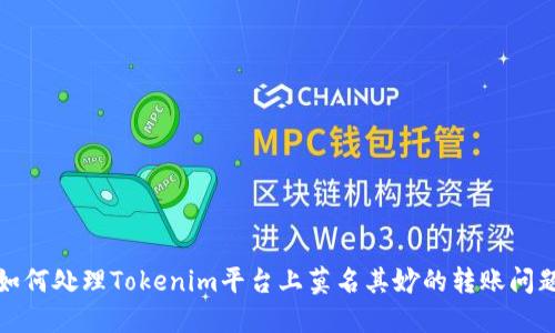 如何处理Tokenim平台上莫名其妙的转账问题