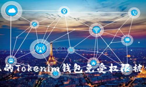 如何保护您的Tokenim钱包免受权限被修改的威胁