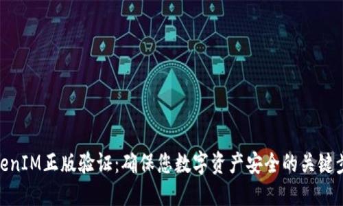 TokenIM正版验证:确保您数字资产安全的关键步骤