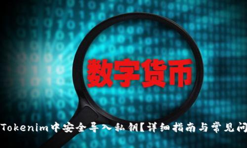 如何在Tokenim中安全导入私钥?详细指南与常见问题解答
