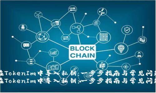 如何在TokenIm中导入私钥:一步步指南与常见问题解答
如何在TokenIm中导入私钥:一步步指南与常见问题解答
