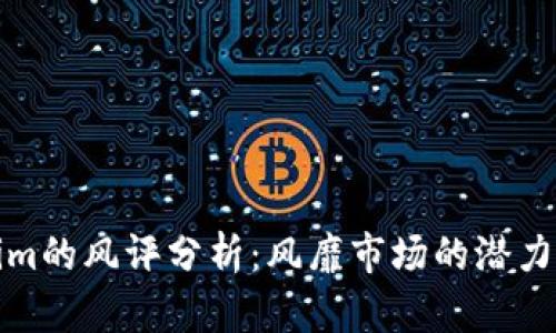 Tokenim的风评分析:风靡市场的潜力与挑战