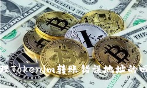 如何处理Tokenim转账错误地址的回滚问题