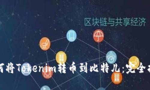如何将Tokenim转币到比特儿:完全指南