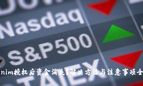 Tokenim授权后资金消失?解决方法与注意事项全解析