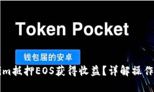 如何通过Tokenim抵押EOS获得收益?详解操作流程与风险提示