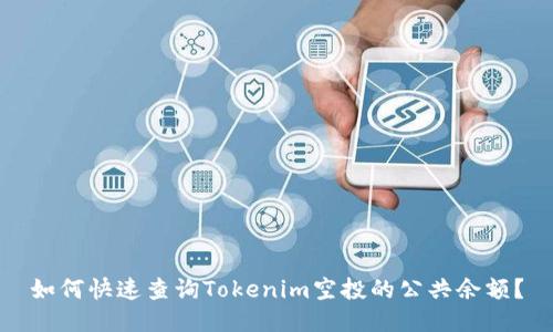 如何快速查询Tokenim空投的公共余额?