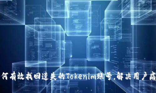 如何有效找回遗失的Tokenim账号，解决用户痛点