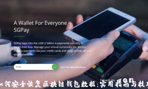 如何安全恢复区块链钱包数据:实用指南与技巧