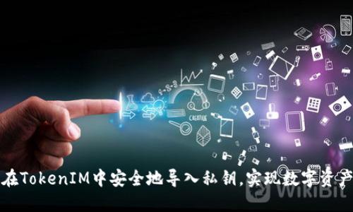 如何在TokenIM中安全地导入私钥，实现数字资产管理