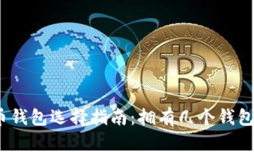 数字货币钱包选择指南:拥有几个钱包更安全?