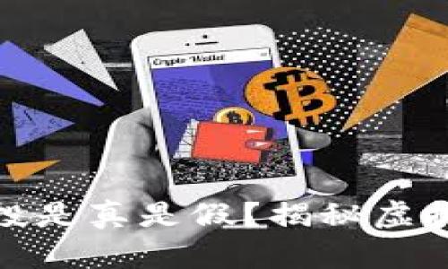 如何判断TokenIM空投是真是假?揭秘虚拟货币空投背后的真相
