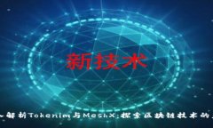 深入解析Tokenim与MeshX：探