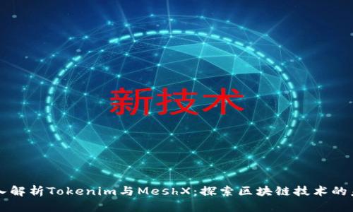 深入解析Tokenim与MeshX：探索区块链技术的未来
