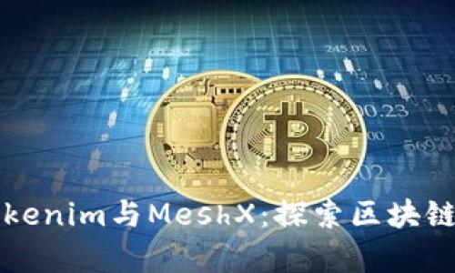 深入解析Tokenim与MeshX：探索区块链技术的未来