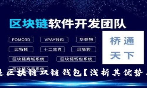 什么是区块链双链钱包？浅析其优势与应用