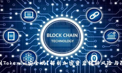 把币提到Tokenim安全吗？解析加密资产转移风险与防护措施