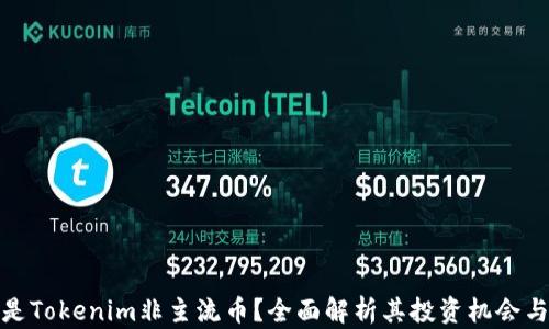 
什么是Tokenim非主流币？全面解析其投资机会与风险