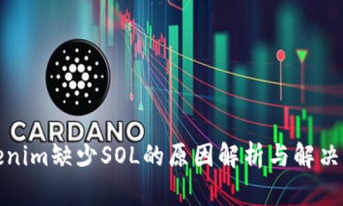 Tokenim缺少SOL的原因解析与解决方案