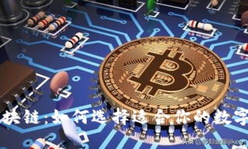 多币种钱包区块链:如何选择适合你的数字资产管理工具