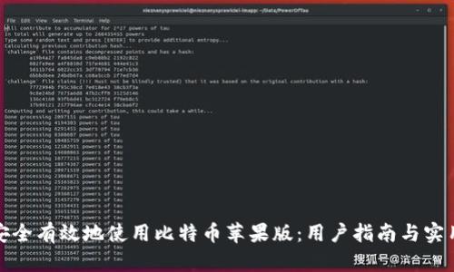 如何安全有效地使用比特币苹果版:用户指南与实用技巧