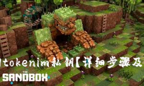 如何找回tokenim私钥?详细步骤及注意事项