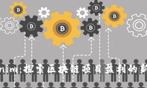 Tokenim：探索区块链项目盈利的新机会