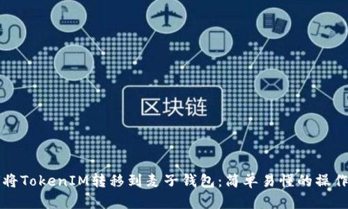 如何将TokenIM转移到麦子钱包：简单易懂的操作指南