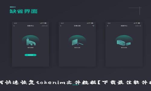 如何快速恢复tokenim文件数据？下载最佳软件指南