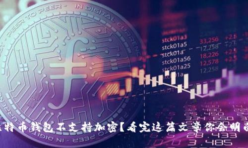 比特币钱包不支持加密？看完这篇文章你会明白！