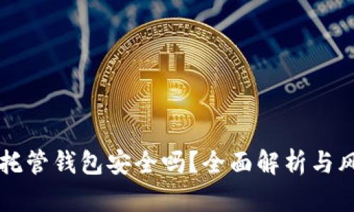 虚拟币托管钱包安全吗？全面解析与风险防范