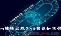 Tokenim转账出现Sige错误如何