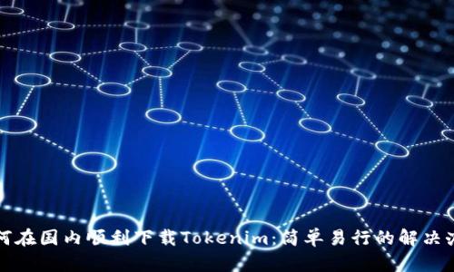 如何在国内顺利下载Tokenim：简单易行的解决办法
