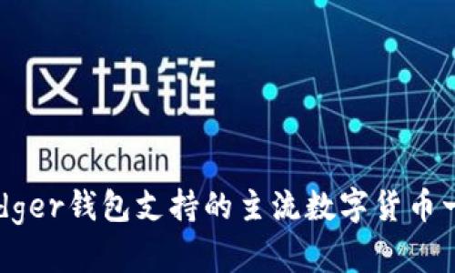 Ledger钱包支持的主流数字货币一览