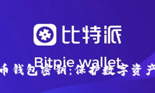 加密货币钱包密钥：保护数字资产的关键