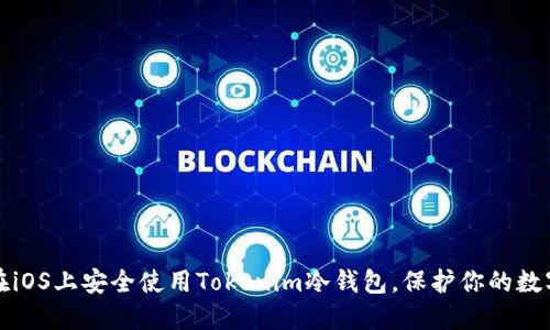 如何在iOS上安全使用Tokenim冷钱包，保护你的数字资产