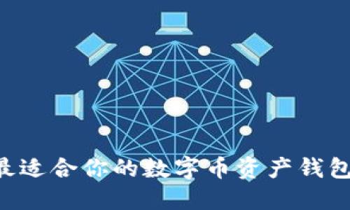如何选择最适合你的数字币资产钱包:全面指南