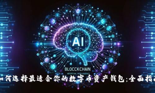 如何选择最适合你的数字币资产钱包:全面指南