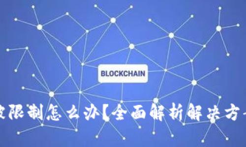 区块链钱包被限制怎么办?全面解析解决方案与预防措施