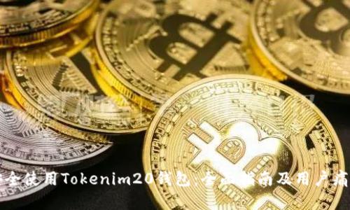 如何安全使用Tokenim20钱包:全面指南及用户痛点解析