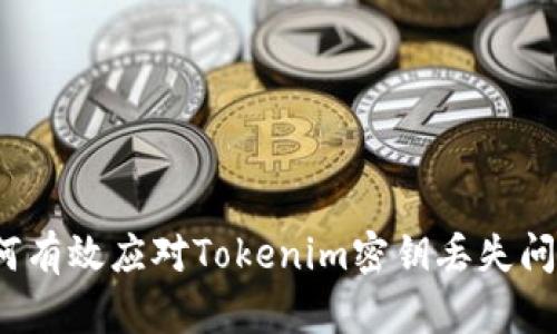 如何有效应对Tokenim密钥丢失问题？