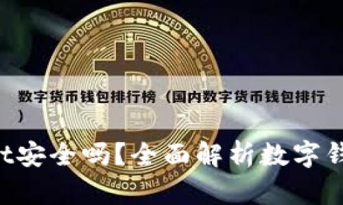 TokenPocket安全吗?全面解析数字钱包的可靠性
