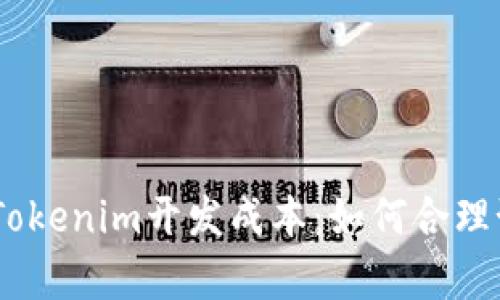## 深入解析Tokenim开发成本:如何合理预算与控制支出