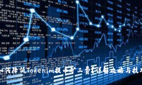 如何降低Tokenim提币矿工费?详解攻略与技巧